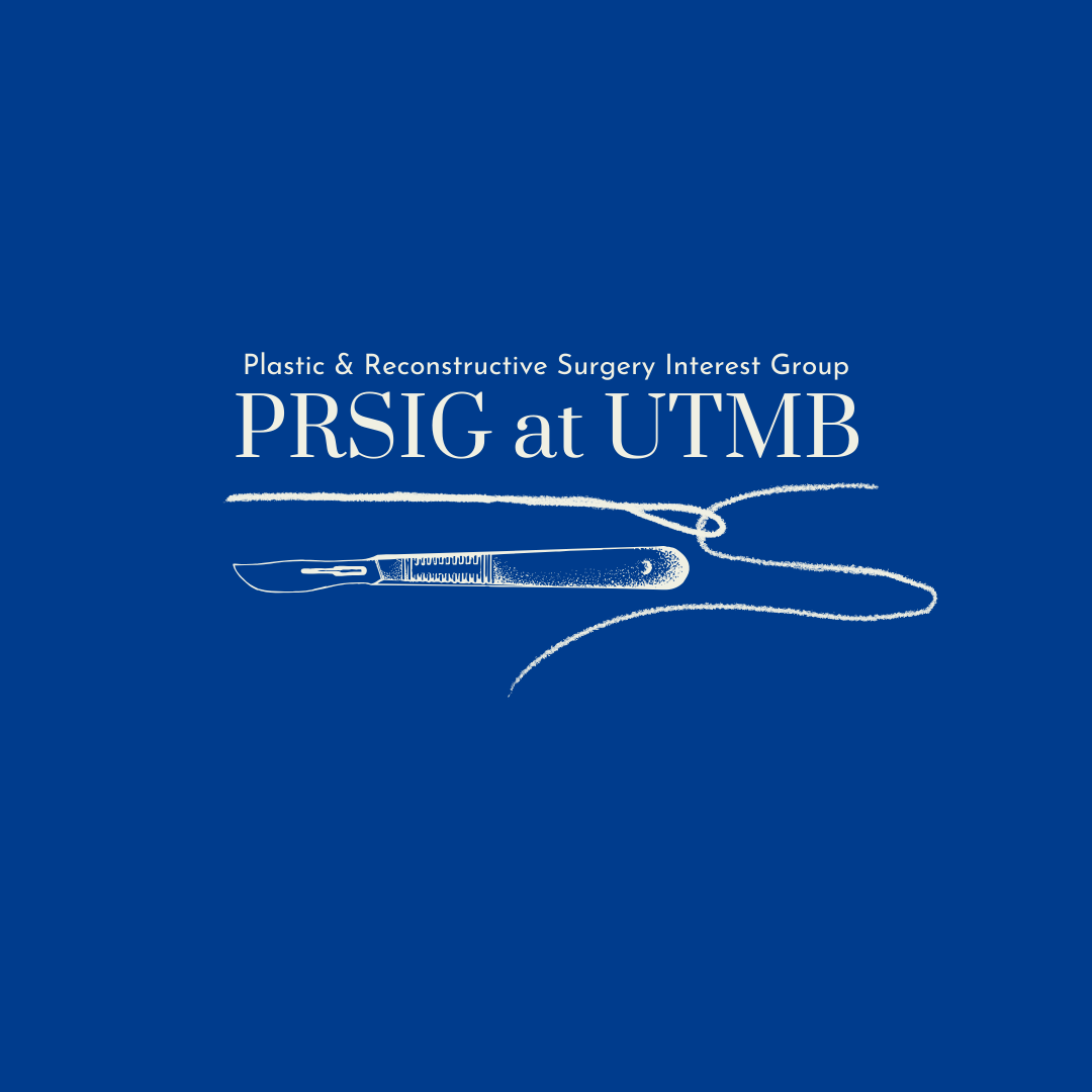 PRSIG Logo Designs